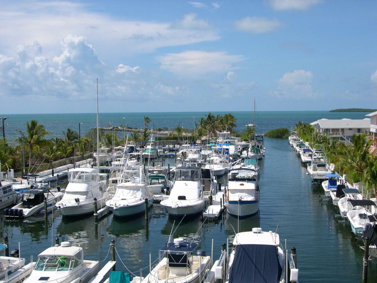 Licensed Mgr - Modern Oceanfront Condo! Beautiful Ocean Views! Beach Resort! 2 King Beds! 基拉戈 外观 照片